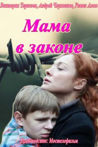 Постер к Мама в законе (2014)