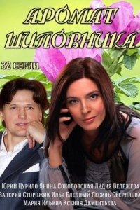 Постер к Аромат шиповника (2014)