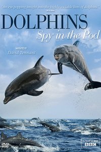 Постер к Дельфины: Шпион в стае / Dolphins: Spy in the Pod (2014)