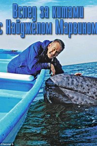 Постер к Вслед за китами с Найджелом Марвином / Whale Adventure with Nigel Marven (2013)