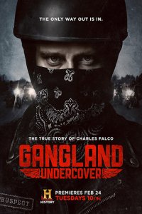 Постер к Под прикрытием (1 сезон) / Gangland Undercover (2015)