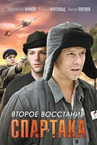 Постер к Второе восстание Спартака (2013)