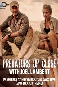 Постер к Хищники крупным планом с Джоэлом Ламбертом / Predators Up Close with Joel Lambert (2015 )