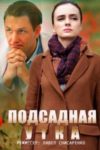 Постер к Подсадная утка (2016)