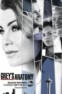 Постер к Анатомия Грей / Анатомия страсти (14 сезон) / Greys Anatomy (2017)