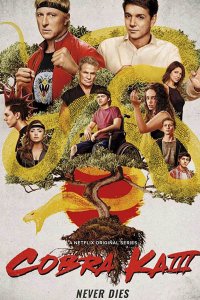 Постер к Кобра Кай (3 сезон) / Cobra Kai (2021) WEB-DLRip