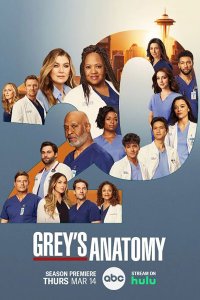 Постер к Анатомия Грей / Анатомия страсти (20 сезон) / Greys Anatomy (2024) WEB-DLRip