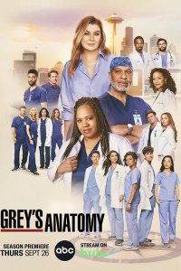 Постер к Анатомия Грей / Анатомия страсти (21 сезон) / Greys Anatomy (2024) WEB-DLRip